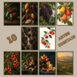 Sabores e Terra Brasileira – 10 Artes Digitais para Quadros - Imagem 4